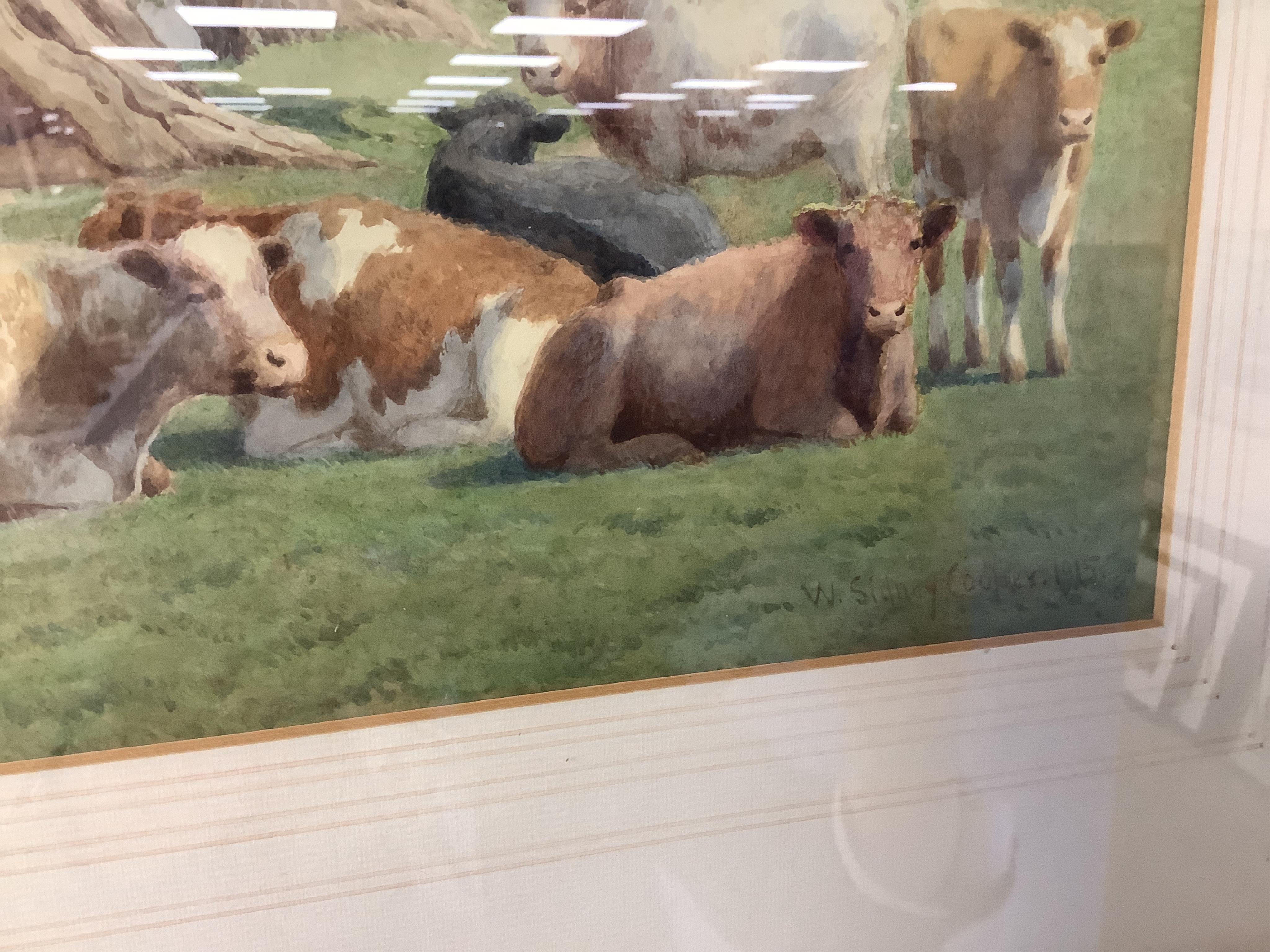 William Sidney Cooper (1854–1927), Cattle resting before trees, signed and dated 1915, watercolour, 25 x 34cm